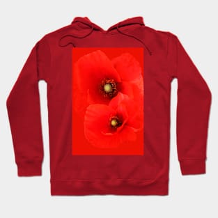 Two Red Poppies floral Hoodie